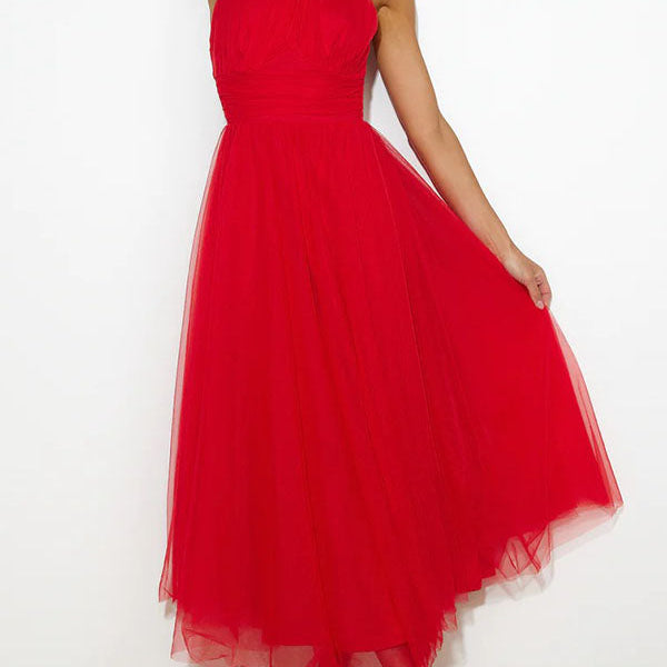 Phoebe - Fancy Tulle Dress 4